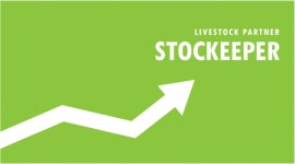 [주식회사 스탁키퍼 (STOCKEEPER Co,. Ltd)] [스탁키퍼] 리액트&리액트 네이티브 개발자 모집(D-6) - 사람인