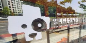 [얼바인동물병원] 동물간호테크니션&수의간호사 채용합니다(경력) - 사람인