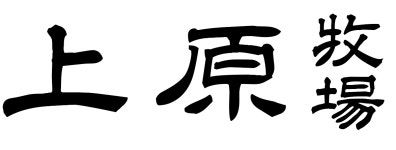 [상원목장] 상원목장 한우숯불구이 전문점에서 총괄실장님(350이상)모십니다 - 사람인