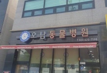 [오남동물병원] 동물병원 테크니션 구인 합니다 - 사람인
