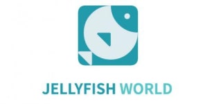 [(주)젤리피쉬월드] 웹 디자인, 교육용 UI, 콘텐츠 디자인 - 사람인