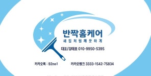 반짝홈케어 직무리포트 | 2025년 합격전략, 역량체크, 멘토링 등 - 사람인