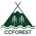 (주)씨씨포레스트 2025년 기업정보 | 직원수, 근무환경, 복리후생 등 - 사람인 (주)씨씨포레스트 2025년 기업정보 | 직원수, 매출액, 복리후생 등... 