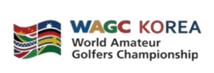 더블유에이지씨코리아 직무리포트 | 2025년 합격전략, 역량체크, 멘토링 등 - 사람인