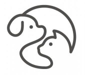 [지금동물병원] [동물병원] 수의테크니션 채용 - 사람인