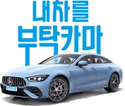 [주식회사부탁카마(butakcarmaCo.,Ltd.)] 주식회사부탁카마 국산차/수입차 정비사 모집(D-30) - 사람인