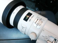 Rumor: Canon 200-400 f/4L IS 1.4x Delay Caused by Design Flaw and Redesign | PetaPixel Rumor: Canon 200-400 f/4L IS 1.4x Delay... 