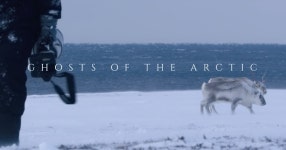 Follow Vincent Munier into the Arctic in this Spectacular Short Film | PetaPixel Follow Vincent Munier into the Arctic in this... 