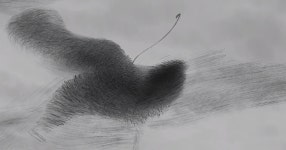 Artist Creates Mesmerizing Time-Lapse-like Videos that Trace the Flight Paths of Birds | PetaPixel Artist Creates Mesmerizing... 