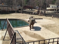 Pgr21 - [일반] 서울대공원 - 과천과학관 - 렛츠파크런 여행 [일반] 서울대공원 - 과천과학관 - 렛츠파크런 여행