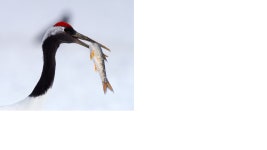 Pgr21 - [기타] [기타] 문학이란? [기타] [기타] 문학이란?