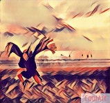 Pgr21 - [유머] 현대미술 [유머] 현대미술