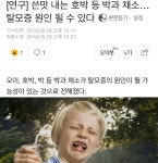 Pgr21 - [기타] 당신이 채식을 해야하는 이유 [기타] 당신이 채식을 해야하는 이유