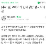 Pgr21 - 향만 추가된 인스턴트 식품 향만 추가된 인스턴트 식품