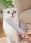 POOM | PH 고양이 그루밍 브러쉬 빗 AF PH 고양이 그루밍 브러쉬 빗 AF