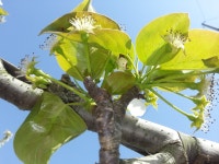 네이버페이 증권 한국석유 토론글 - Npay 증권