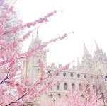 디너의여왕 - [인천 연수] 김호권의청년어부 동춘점 9차