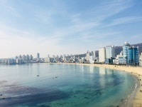 디너의여왕 - [경기 안산] 디어인업 7차
