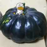 호텔 리버사이드 울산, 중구 (2025-03-20~2025-03-21, 1박, 2인) 호텔 리버사이드 울산, 대한민국