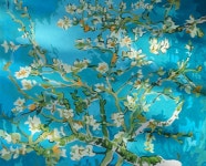 [ 수유 / 미아 5분 ] 강북구 최대규모 + 첫달무료 + 가성비 짱!! (4호선/동대문/혜화/한성대입구/성신여대입구/길음/미아사거리/미아/수유... 