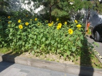 낙산 오션밸리 리조트, 양양 (2025-01-09~2025-01-10, 1박, 2인) 낙산 오션밸리 리조트, 대한민국