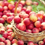 킴스아트필드미술관> 여행지 | 열린 관광 모두의 여행:대한민국 구석구석