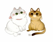 디너의여왕 - [대구] 인생극장쪽갈비 대구혁신도시점 13차