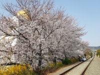 네이버페이 증권 시지메드텍 토론글 - Npay 증권