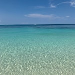 [상봉] 당산오돌 상봉점 4차 | 디너의여왕