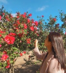 디너의여왕 - [서울 종로] 이태리부대찌개 종각역점 3차