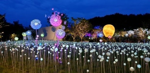 호텔 리버사이드 울산, 중구 (2025-01-16~2025-01-17, 1박, 2인) 호텔 리버사이드 울산, 대한민국