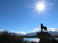 쏠비치 진도, 진도 (2025-03-14~2025-03-15, 1박, 2인) 쏠비치 진도, 대한민국