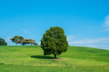 호텔 인터내셔널, 성산구 (2025-01-12~2025-01-13, 1박, 2인) 호텔 인터내셔널, 대한민국