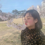 디너의여왕 - [노원] 박술집(박스퓨전포차술집) 2차