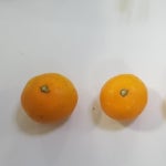 디너의여왕 - [부산] 리미니 부산대NC점 1차