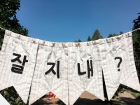 디너의여왕 - [경북 경주] 영천식당 8차