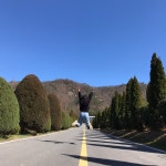 디너의여왕 - [전북 전주][배달]더 데이 셀 샌드위치&샐러드세트 13차
