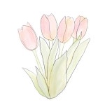 디너의여왕 - [경남 거제] 이나집초밥 4차