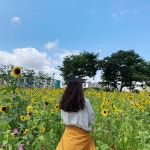디너의여왕 - [부산 북구] 태이면옥 4차