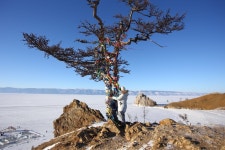 디너의여왕 - [경기 안양] 나만의 머그컵 원데이클래스 1차