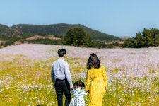 디너의여왕 - [서울 송파] 그린퍼센트 4차