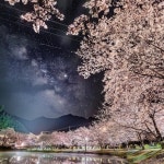 디너의여왕 - [대전 서구] 김복남맥주 가수원점 7차