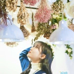디너의여왕 - [서울 강남] 로블리샵 32차