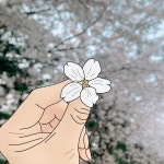 디너의여왕 - [충남 아산] 희라로스튜디오 4차