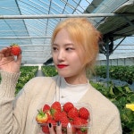 디너의여왕 - [서울 송파] 홍자씨샌드위치 거여점 8차
