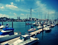 보리마당&시화마을> 여행지 | 반려동물 동반여행:대한민국 구석구석