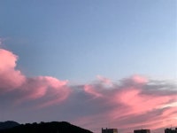 큰나무집> 여행지 :대한민국 구석구석 큰나무집> 여행지 :대한민국 구석구석 