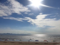 디너의여왕 - [충남 천안] 타임 바버샵 27차