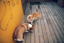 르서울호텔, 중구 (2025-03-14~2025-03-15, 1박, 2인) 르서울호텔, 대한민국