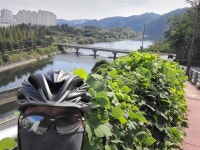 속초 호텔 더 블루테라, 속초 (2025-02-10~2025-02-11, 1박, 2인) 속초 호텔 더 블루테라, 대한민국